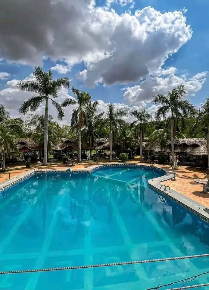 Palm-lined swimming pool in Ouagadougou